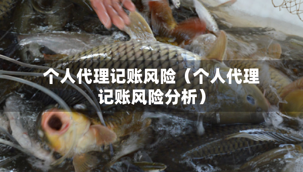 个人代理记账风险（个人代理记账风险分析）