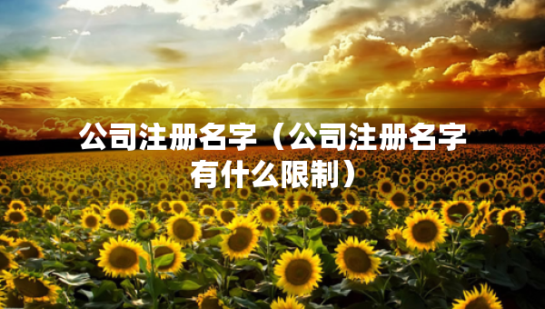 公司注册名字（公司注册名字有什么限制）