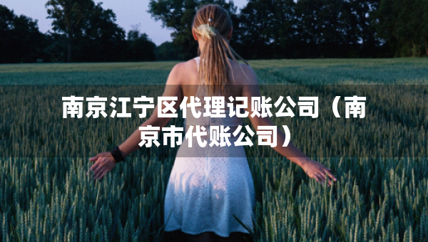 南京江宁区代理记账公司（南京市代账公司）