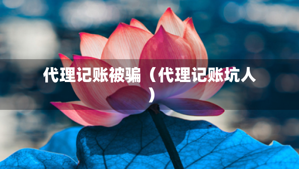 代理记账被骗（代理记账坑人）