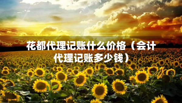 花都代理记账什么价格（会计代理记账多少钱）