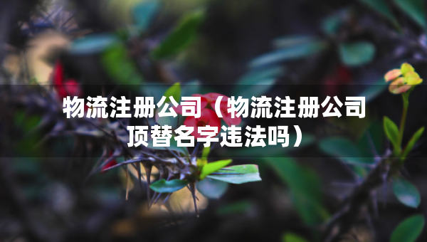 物流注册公司（物流注册公司顶替名字违法吗）