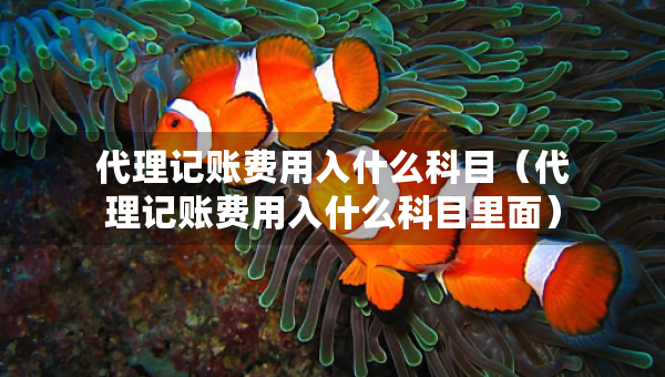 代理记账费用入什么科目（代理记账费用入什么科目里面）