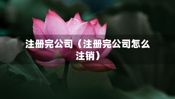 注册完公司（注册完公司怎么注销）