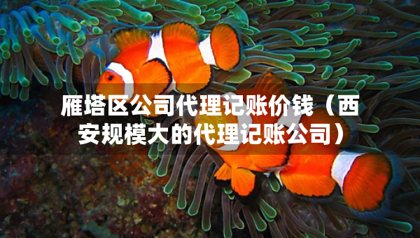 雁塔区公司代理记账价钱（西安规模大的代理记账公司）