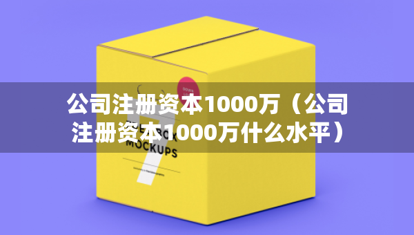 公司注册资本1000万（公司注册资本1000万什么水平）