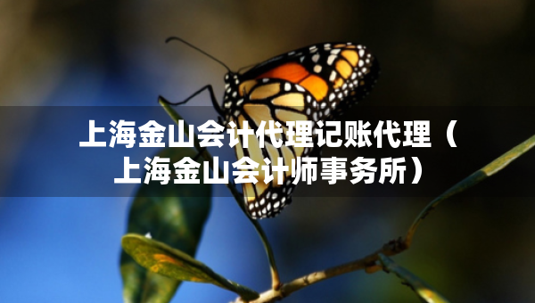 上海金山会计代理记账代理（上海金山会计师事务所）