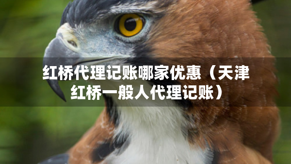 红桥代理记账哪家优惠（天津红桥一般人代理记账）