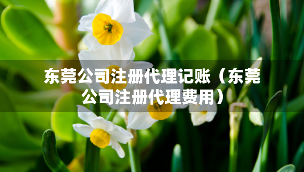 东莞公司注册代理记账（东莞公司注册代理费用）