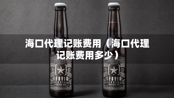 海口代理记账费用（海口代理记账费用多少）