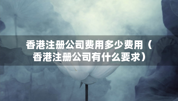 香港注册公司费用多少费用（香港注册公司有什么要求）