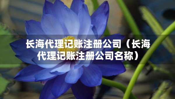 长海代理记账注册公司（长海代理记账注册公司名称）