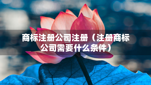 商标注册公司注册（注册商标公司需要什么条件）