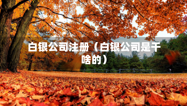 白银公司注册（白银公司是干啥的）