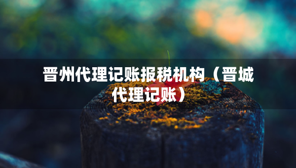 晋州代理记账报税机构（晋城代理记账）