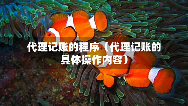 代理记账的程序（代理记账的具体操作内容）