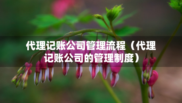 代理记账公司管理流程（代理记账公司的管理制度）