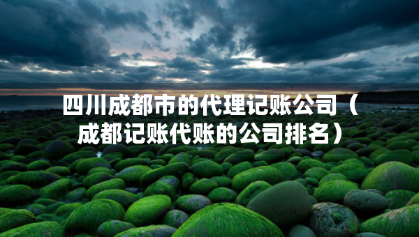 四川成都市的代理记账公司（成都记账代账的公司排名）