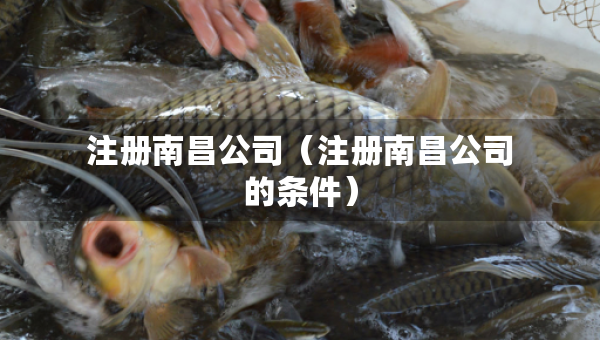 注册南昌公司（注册南昌公司的条件）