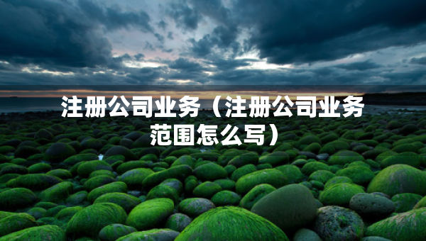 注册公司业务（注册公司业务范围怎么写）