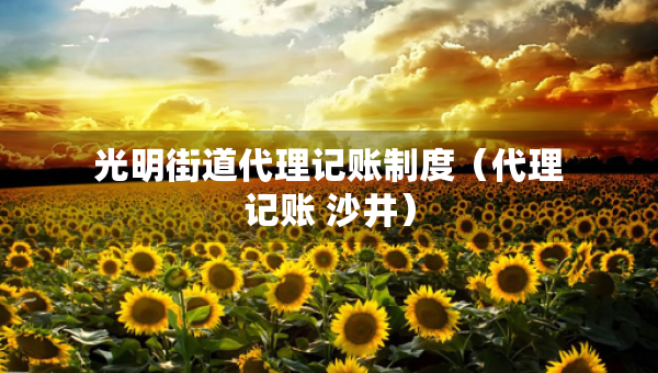 光明街道代理记账制度（代理记账 沙井）