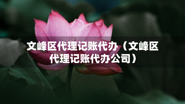 文峰区代理记账代办（文峰区代理记账代办公司）
