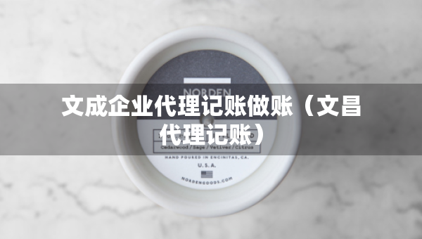 文成企业代理记账做账（文昌代理记账）