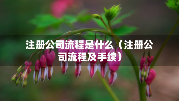 注册公司流程是什么（注册公司流程及手续）