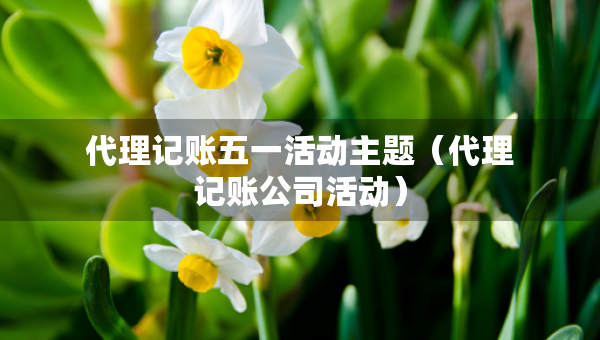代理记账五一活动主题（代理记账公司活动）