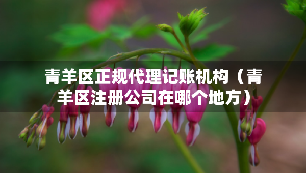 青羊区正规代理记账机构（青羊区注册公司在哪个地方）
