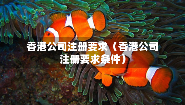 香港公司注册要求（香港公司注册要求条件）