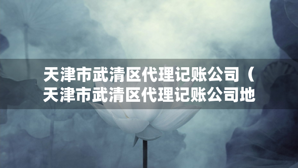天津市武清区代理记账公司（天津市武清区代理记账公司地址）