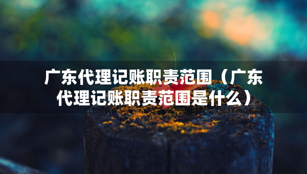 广东代理记账职责范围（广东代理记账职责范围是什么）