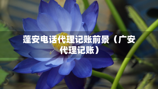 蓬安电话代理记账前景（广安代理记账）