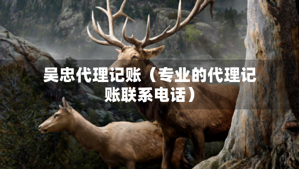 吴忠代理记账（专业的代理记账联系电话）