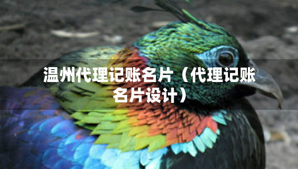 温州代理记账名片（代理记账名片设计）
