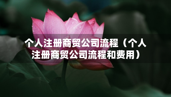 个人注册商贸公司流程（个人注册商贸公司流程和费用）
