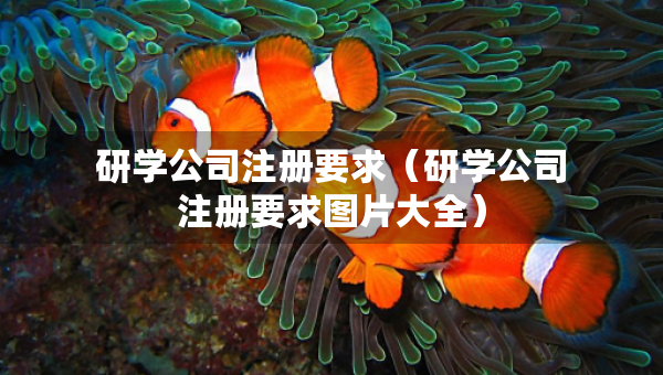 研学公司注册要求（研学公司注册要求图片大全）