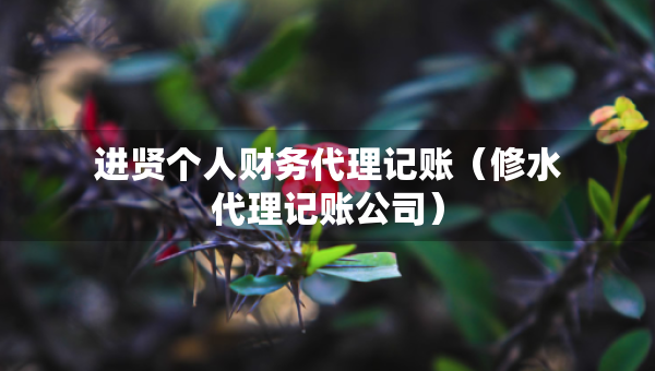 进贤个人财务代理记账（修水代理记账公司）