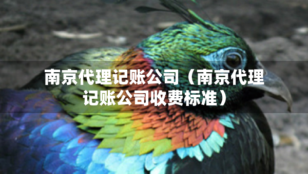 南京代理记账公司（南京代理记账公司收费标准）