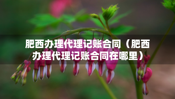 肥西办理代理记账合同（肥西办理代理记账合同在哪里）