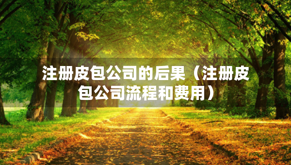 注册皮包公司的后果（注册皮包公司流程和费用）