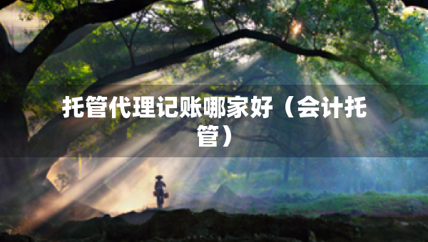 托管代理记账哪家好（会计托管）