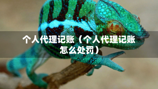 个人代理记账（个人代理记账怎么处罚）