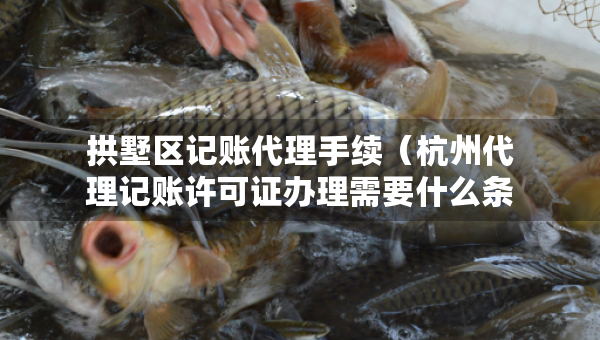 拱墅区记账代理手续（杭州代理记账许可证办理需要什么条件）