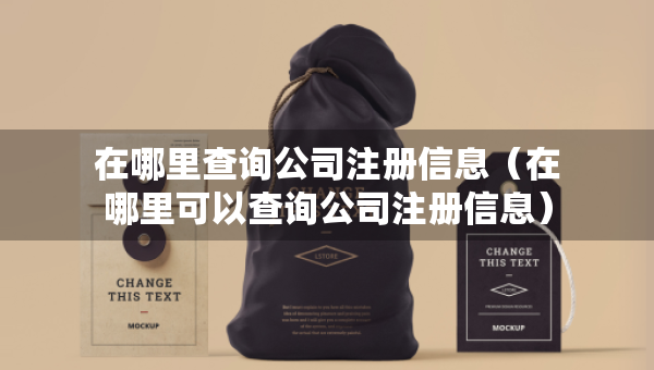 在哪里查询公司注册信息（在哪里可以查询公司注册信息）