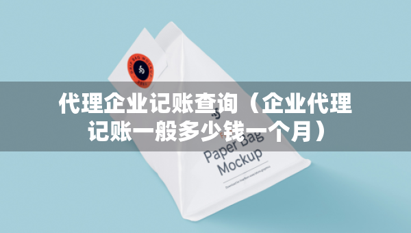 代理企业记账查询（企业代理记账一般多少钱一个月）