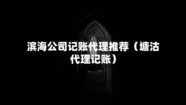 滨海公司记账代理推荐（塘沽代理记账）