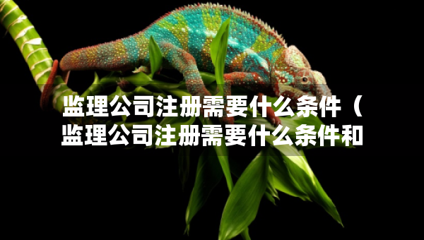 监理公司注册需要什么条件（监理公司注册需要什么条件和资质）
