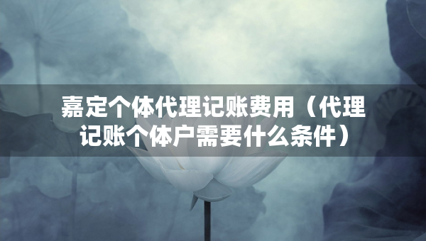 嘉定个体代理记账费用（代理记账个体户需要什么条件）